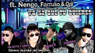 Yo Se Que Tu Quieres Remix - Farruko ft Ñengo Flow ft Opi Ft Falsetto &amp; Sammy