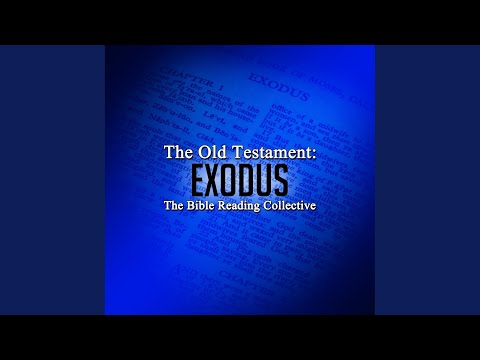 The Old Testament: Exodus, Chapter 2.2 - The Old Testament: Exodus