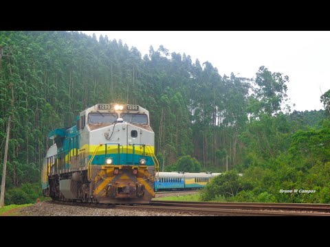 Nos Trilhos de Minas. and 5 more