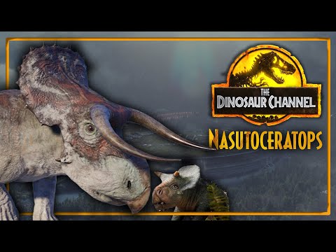 What Was The Nasutoceratops? - The Dinosaur Channel