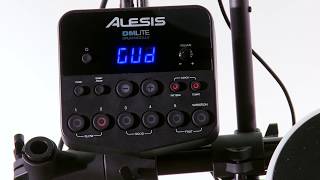 Video thumbnail for Alesis DM Lite Kit Module Overview by AlesisVideo