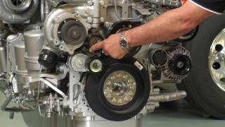 MX Engine Drive Belts
