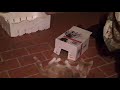 Basil Tulsi Drops For Cats And Dogs Flea Control And Dental Hygiene