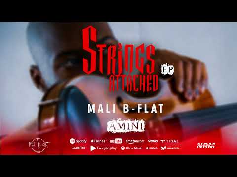 Mali B-flat, Mellow & Sleazy - Amini (Official Audio)