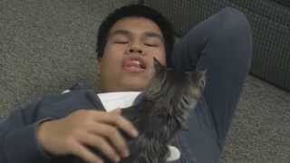 Spay It Forward: Cut It Out Parody