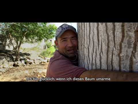 Robert Franz:Pflanzen sind auch Lebewesen