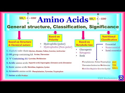 1: Amino Acids : General structure, Classification, Significance | Amino acid Chemistry-1| Biochem