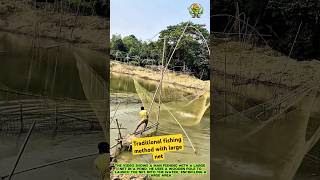 Traditional fishing method with large net