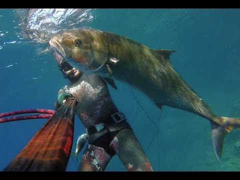 Spearfishing - Amberjack 30,6kg