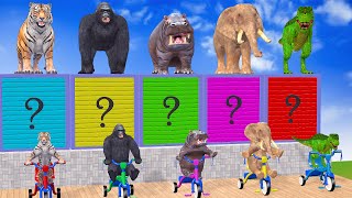 Long Slide Game with Cow Elephant Gorilla Hippopotamus Tiger 3d Animal Game Funny 3d Animals