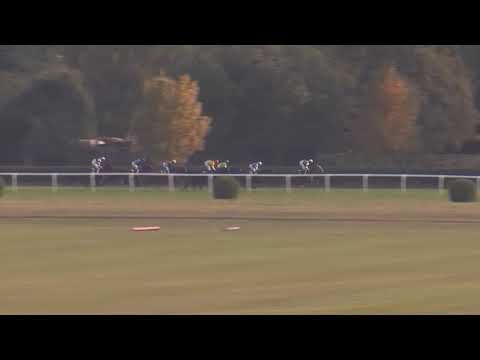 8. dostih - MEMORIÁL JOSEFA ŠACHA - Videozáznam Memoriál Harryho Petrlíka 2018 v Chuchli