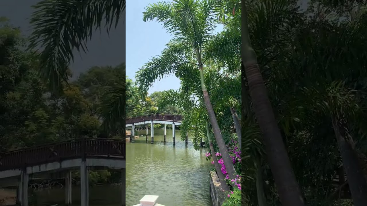 YouTube Short thumbnail