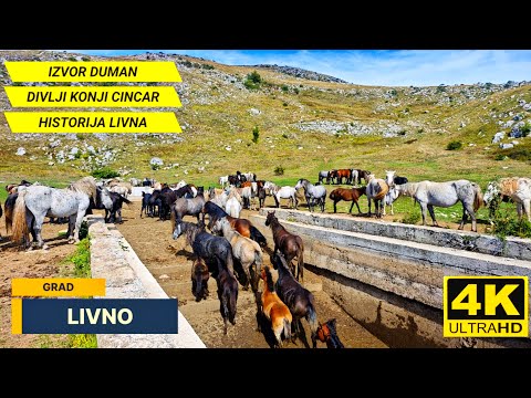 SVE STO TREBATE POSJETITI U LIVNU DIVLJI KONJI IZVOR DUMAN PLANINA CINCAR