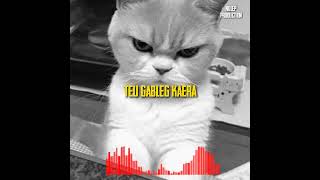 Download lagu Story WA keren sindir temen GOBLOG - Asep balon mp3