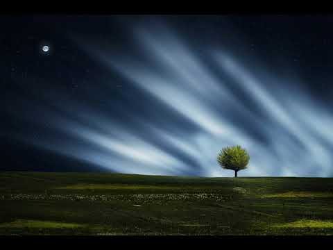 Trance Classics Mix vol. 2 By Raymond X