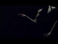 Sylvie Guillem - Two