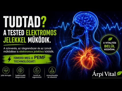 Tudtad, hogy a tested elektromos jelekkel működik?