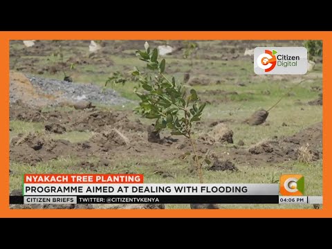 Tree planting programme launched in Nyakach, Nyando