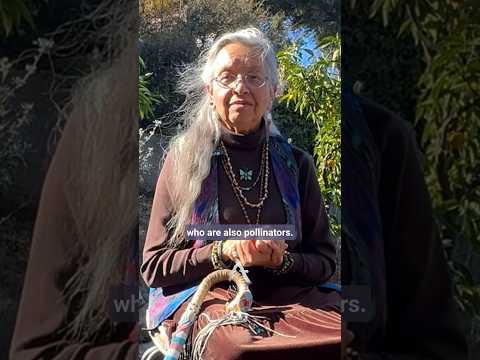 Butterflies are Sacred Beings