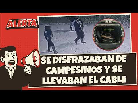 ¡Los pillaron! Así se llevaban el cable de las fincas en Cundinamarca