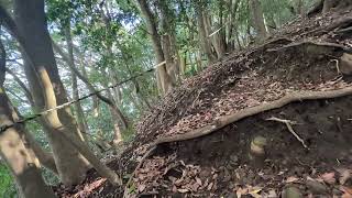 【沼津アルプス】鷲頭山～大平山～日守山公園(嵐山)まで