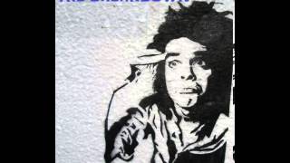 Shearwater - I Luv the Valley OH!! (Xiu Xiu Cover)