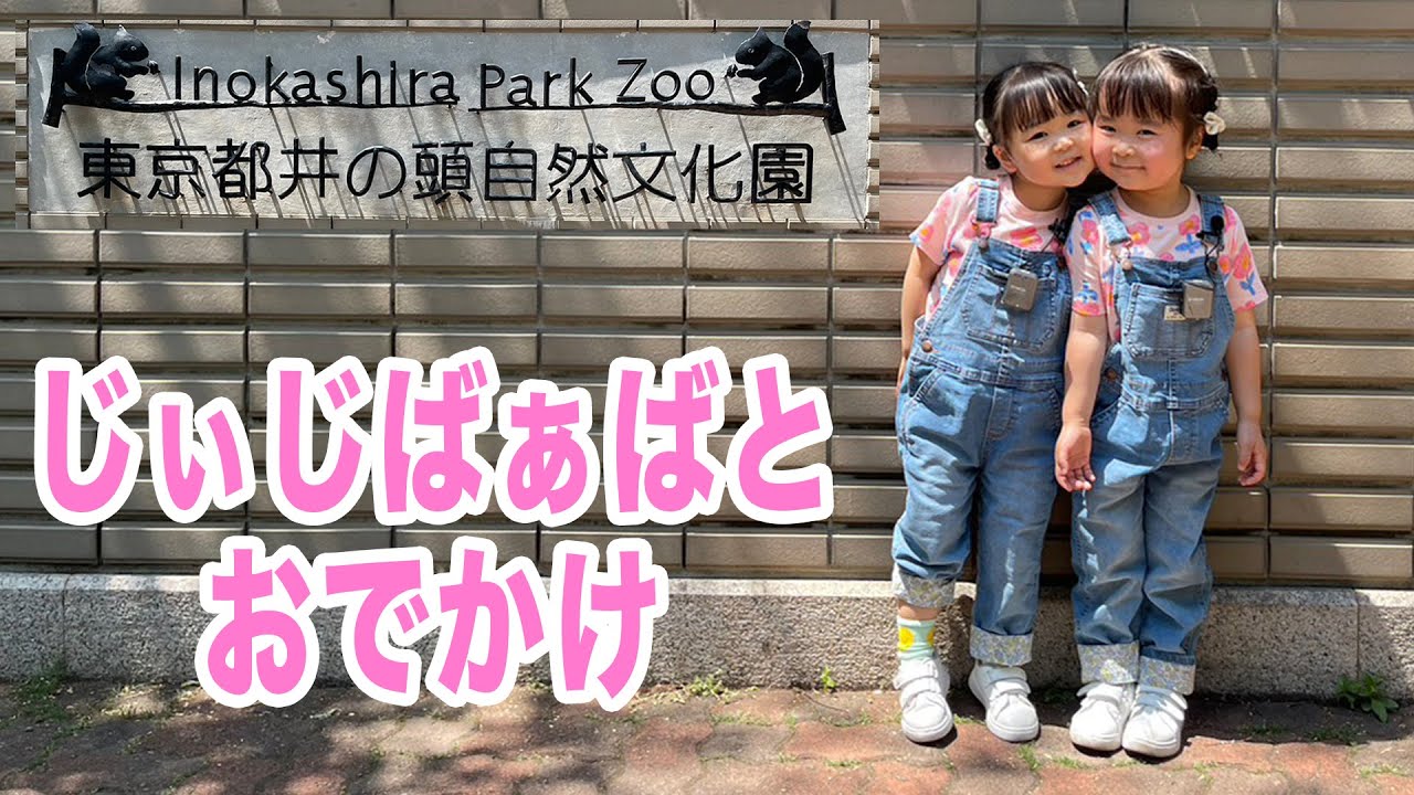 【のんびり】じぃじ、ばぁばと動物園に行ってきたよ♪