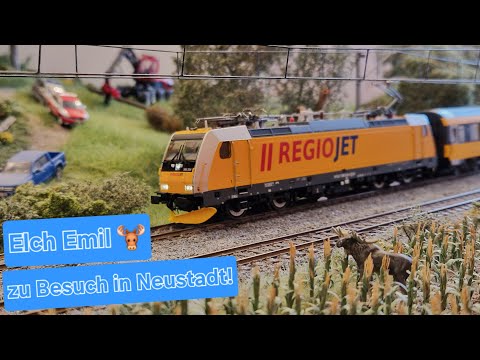 [H0 Modelleisenbahn Gleisgeschichte] Elch Emil in Neustadt an der Südbahn!
