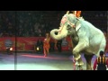 Ringling Bros Circus 2011