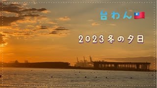 2023 師走🇹🇼午後の散歩🌴マングローブ〜黄昏の淡水に向かって歩く