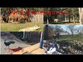 Tour Of The Detroit Zoo Part 2