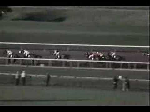 Buckpasser - 1967 Malibu Stakes