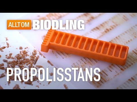 Propolisstans - Propolis - Biredskap - Biodling