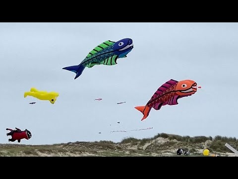 Skies over Fanø burst with colour as International Kite Festival begins