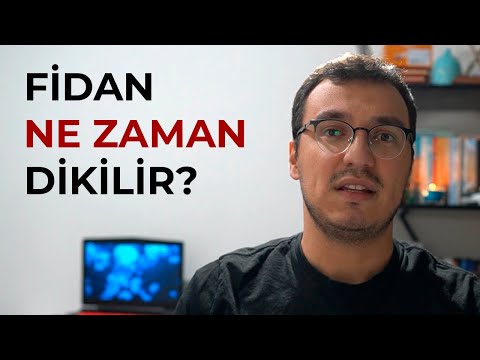 , title : 'Fidan Ne Zaman Dikilir?'