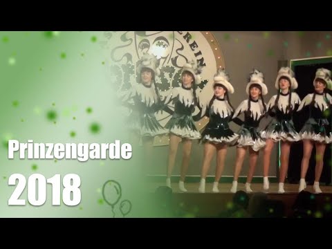 Lorbser Marktheidenfeld - Prinzengarde 2018