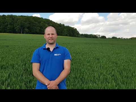 Ackerbauforum - Ursachen für Ackerfuchsschwanz