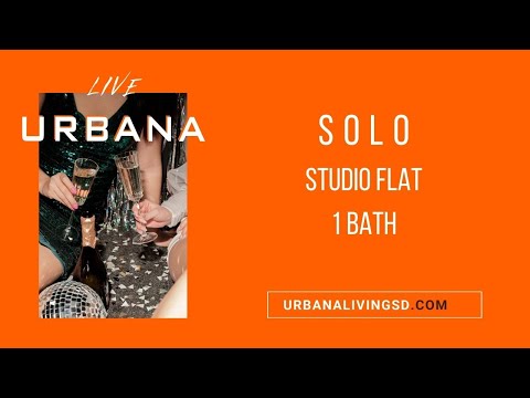 Solo: Studio Flat, 1 Bathroom // #117