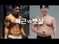 뱃살 빼는 과학적인 방법 + 복근 빨리 만드는 해부학 방법 [핏블리 다이어트 해부학]