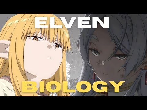 Anime Got Elves All Wrong... Until Frieren