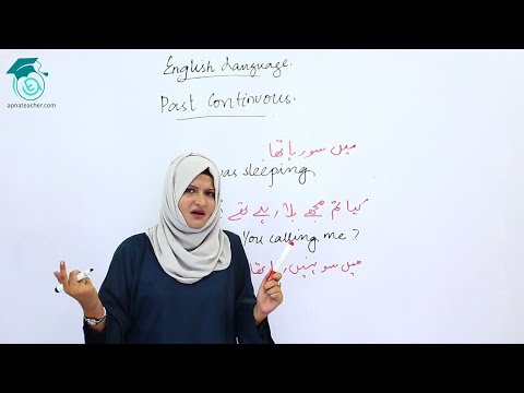 Lesson 8 Past Continuous | Identification Sentences | English Language | Apna Teacher