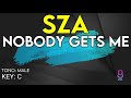 SZA - Nobody Gets Me - Karaoke Instrumental - Male