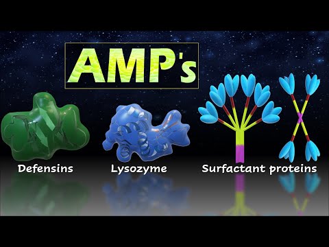 Are Antimicrobial Proteins Quizlet