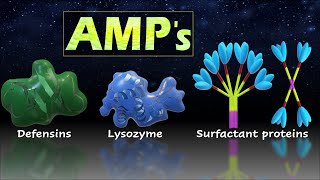 Antimicrobial Proteins and Peptides