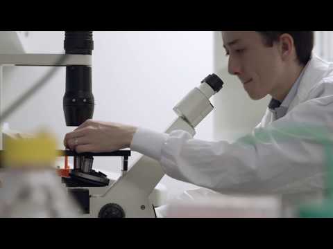 The mechanisms behind tissue regeneration are right at our fingertips