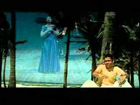 Um olhar - Rachel do Vale