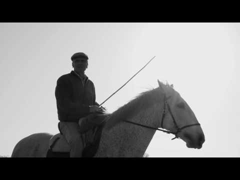 Coudelaria Manuel Lopo de Carvalho - Malagueiros