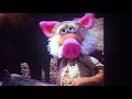 Uncle Traveling Matt S Pig Costume