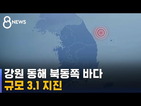 강원 동해 북동쪽 바다 규모 3.1 지진 / SBS 8뉴스