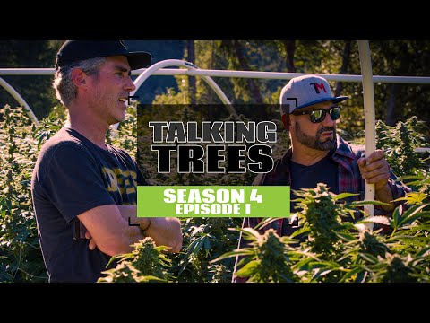 S4 EP1 The Most Sustainable Cannabis Brand In Cannabis | Talking Trees